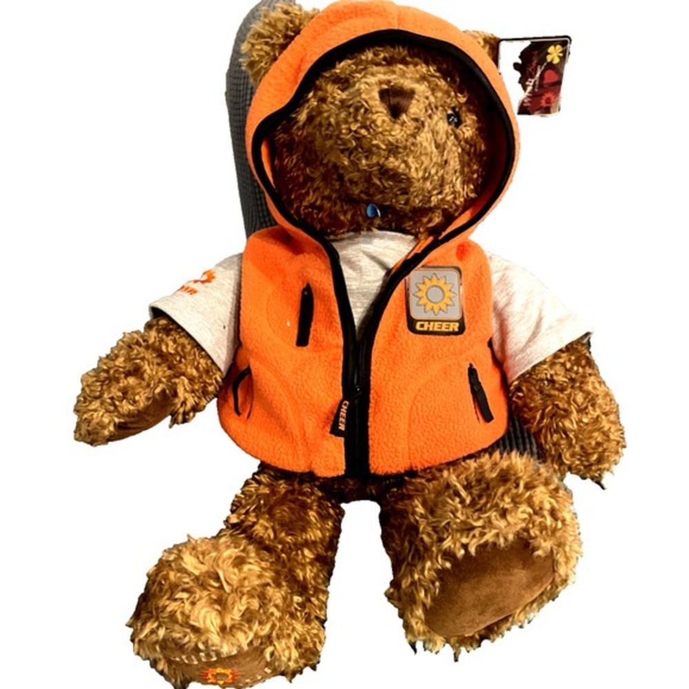 Vtg Limited Edition GUND Stuffed/Plush Wish Teddy Bear 2000/2001‎ CHEER 28" 2000